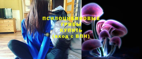 ПСИЛОЦИБИНОВЫЕ ГРИБЫ Беломорск