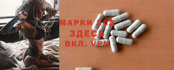 трава Белокуриха
