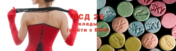 трава Белокуриха
