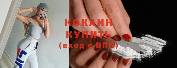 трава Белокуриха