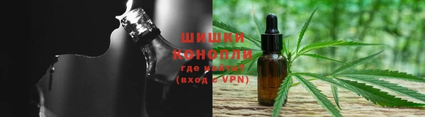 сатива Дубовка