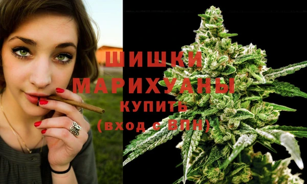 mdpv Дубна