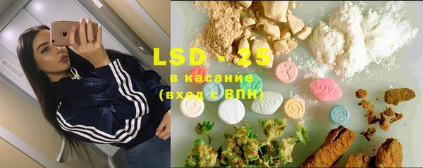 ПСИЛОЦИБИНОВЫЕ ГРИБЫ Беломорск